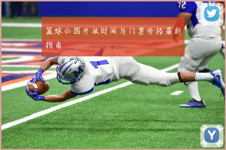 篮球公园开放时间与门票价格最新指南