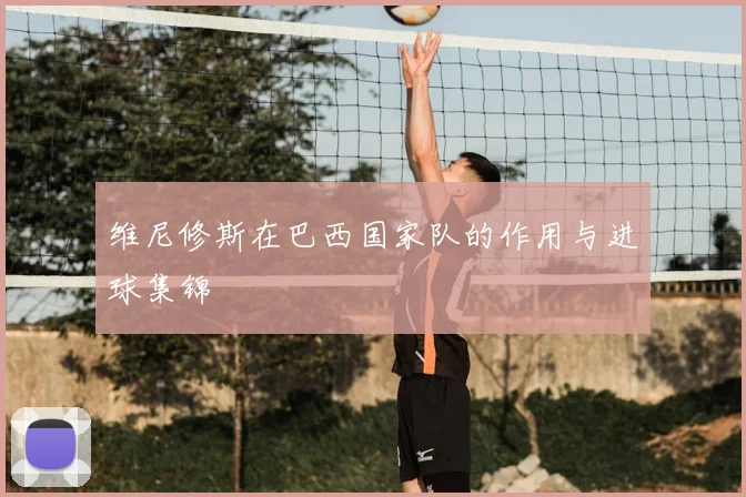 维尼修斯在巴西国家队的作用与进球集锦