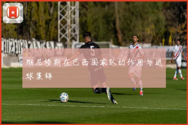 维尼修斯在巴西国家队的作用与进球集锦